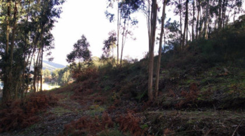 Pontevedra - Poio - 38000m2