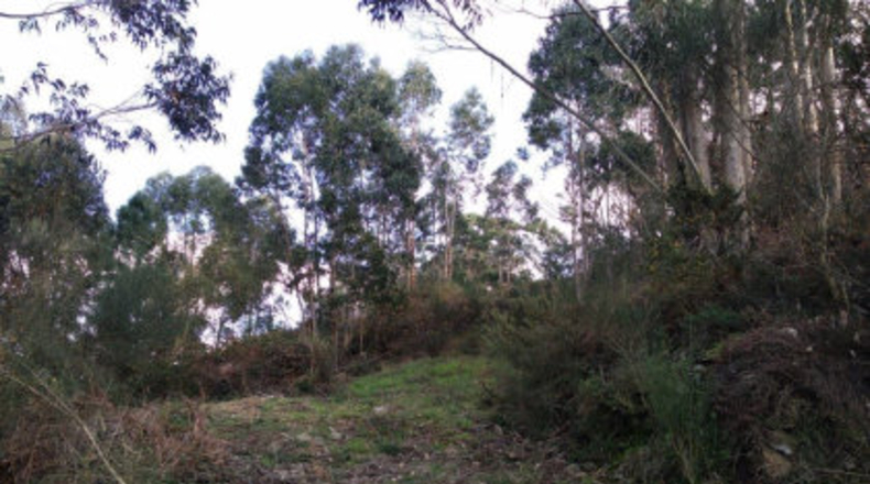 Pontevedra - Poio - 38000m2