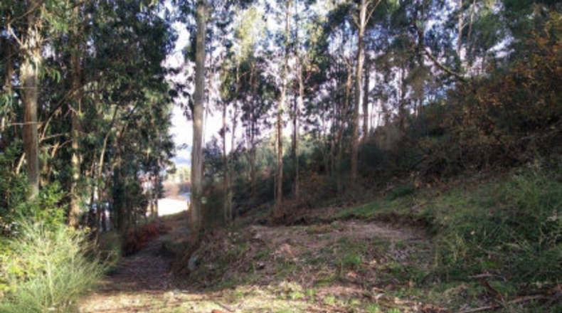 Pontevedra - Poio - 38000m2