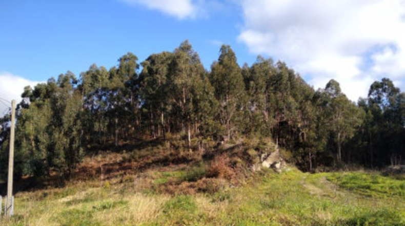 Pontevedra - Poio - 38000m2