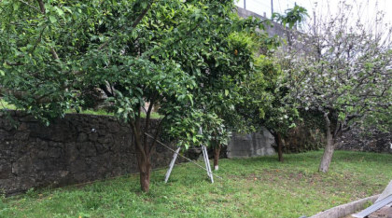 Pontevedra - O Casal - 470m2