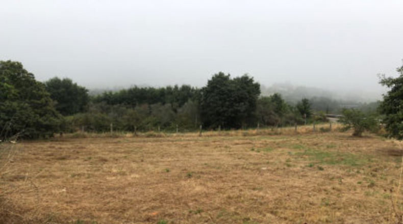 Pontevedra - Pontevedra - 560m2