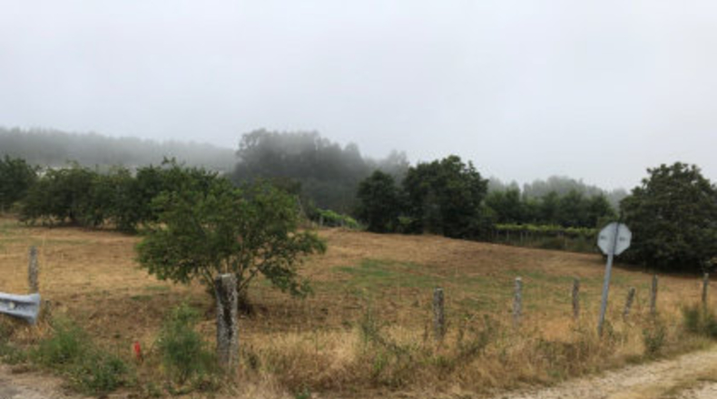 Pontevedra - Pontevedra - 560m2