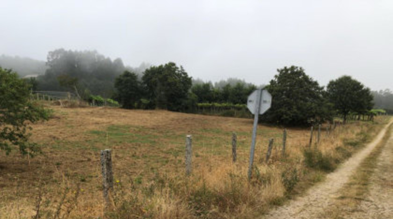 Pontevedra - Pontevedra - 560m2