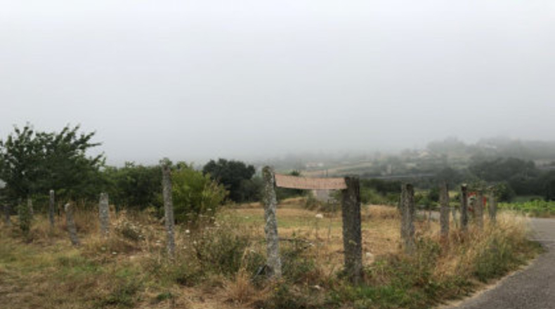 Pontevedra - Pontevedra - 560m2