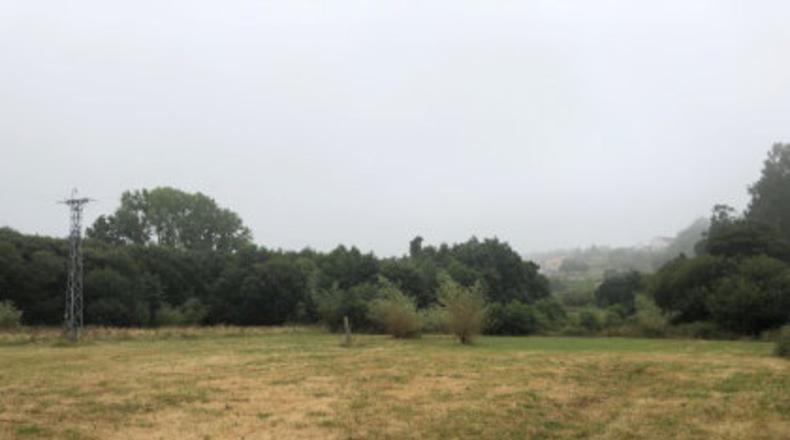 Pontevedra - Pontevedra - 560m2