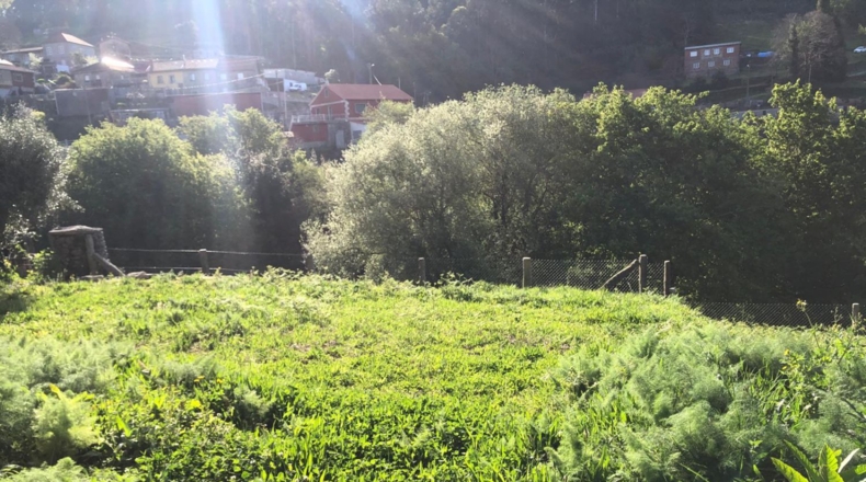Pontevedra - A Costiña - 1950m2