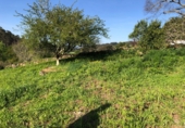 Casa de camp amb terreny en venda a Cerdedo ref.: TR18703 foto
