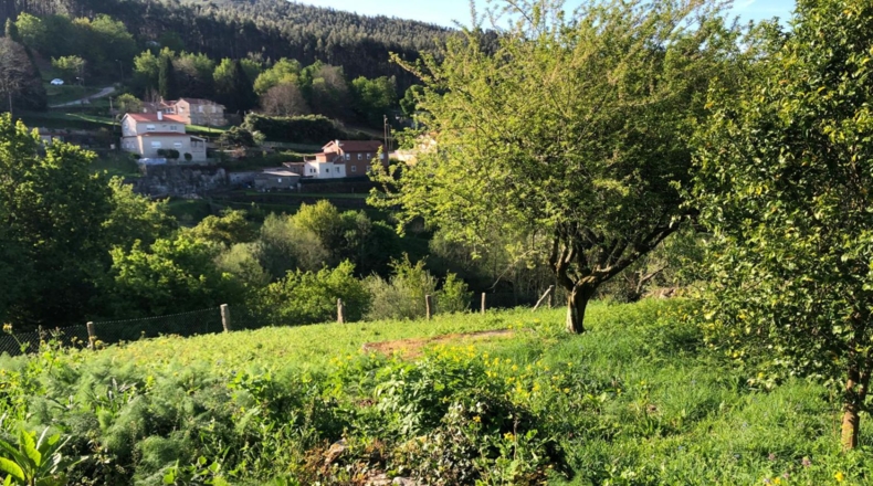Pontevedra - A Costiña - 1950m2