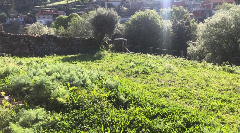 Pontevedra - A Costiña - 1950m2