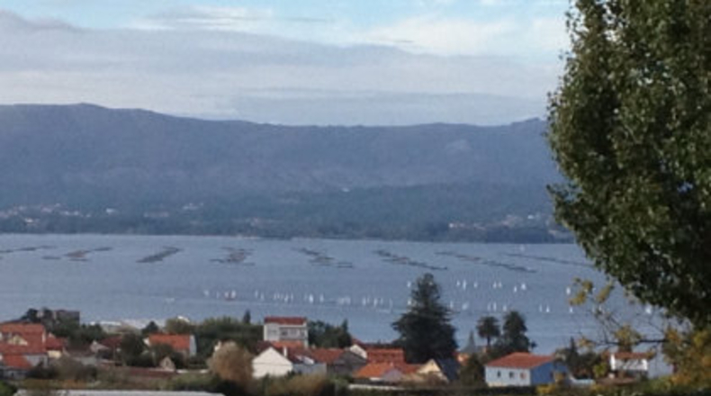 Pontevedra - Sobradelo - 2200m2