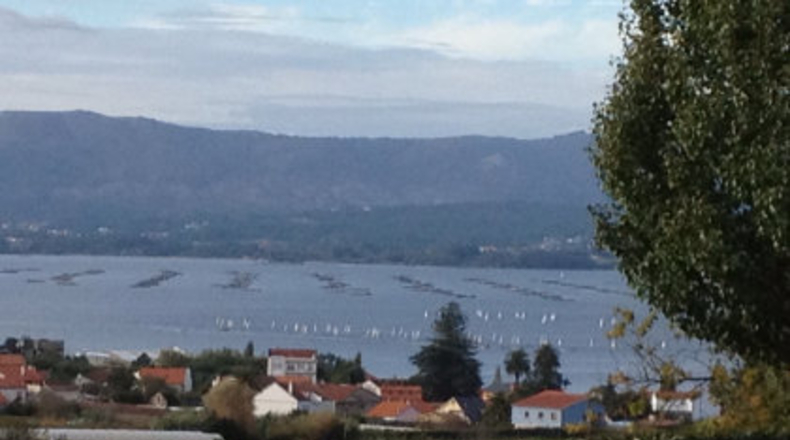 Pontevedra - Sobradelo - 2200m2