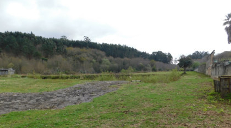 Pontevedra - Mourente - 4800m2