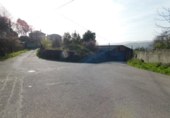 Non-developable land for sale in Pontevedra ref: TR21809 photo