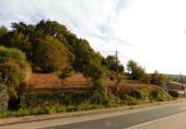 Non-developable land for sale in Cerdedo ref: TR232771 photo