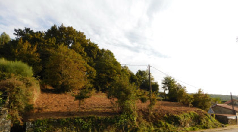 La Coruna - Rial - 1624m2