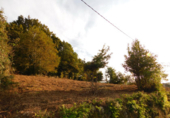 Non-developable land for sale in Cerdedo ref: TR232771 photo
