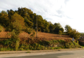 Non-developable land for sale in Cerdedo ref: TR232771 photo