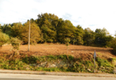 Non-developable land for sale in Cerdedo ref: TR232771 photo