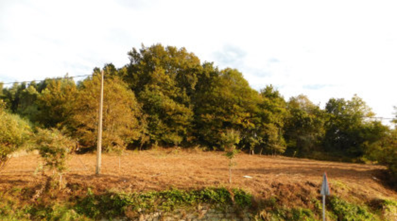 La Coruna - Rial - 1624m2