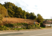 Non-developable land for sale in Cerdedo ref: TR232771 photo