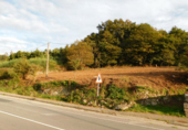 Non-developable land for sale in Cerdedo ref: TR232771 photo