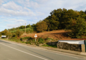 Non-developable land for sale in Cerdedo ref: TR232771 photo