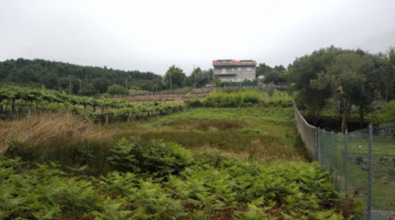 Pontevedra - A Igrexa - 1700m2