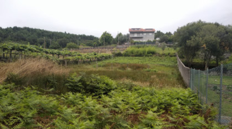Pontevedra - A Igrexa - 1700m2