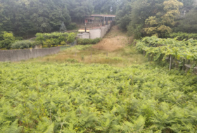 Foto 10