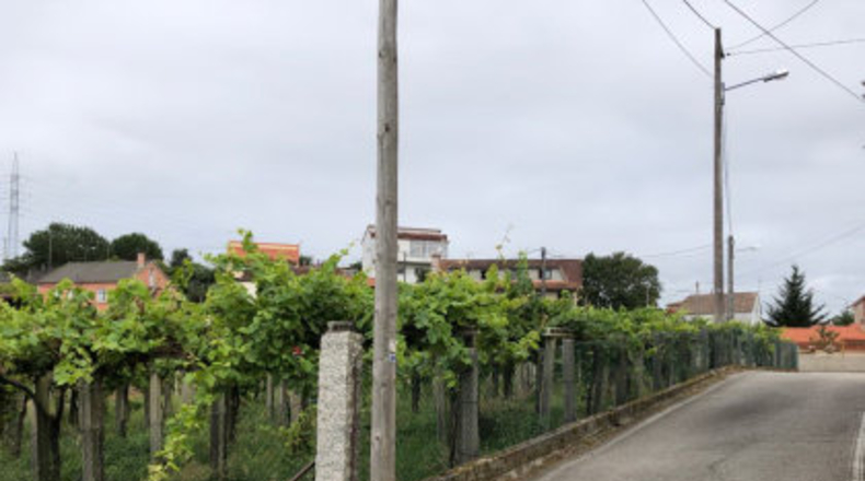 Pontevedra - Pontevedra - 1453m2
