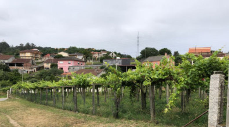 Pontevedra - Pontevedra - 1453m2
