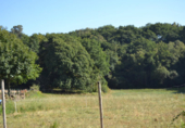 Rural estate for sale in Forcarei ref: TR18695 photo