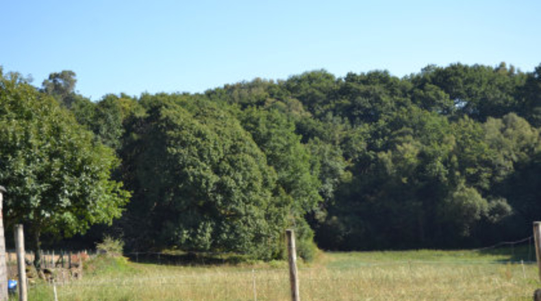 Pontevedra - A Ponte - 2500m2