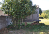 Rural estate for sale in Forcarei ref: TR18695 photo