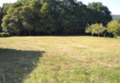 Rural estate for sale in Forcarei ref: TR18695 photo