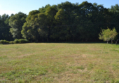 Rural estate for sale in Forcarei ref: TR18695 photo