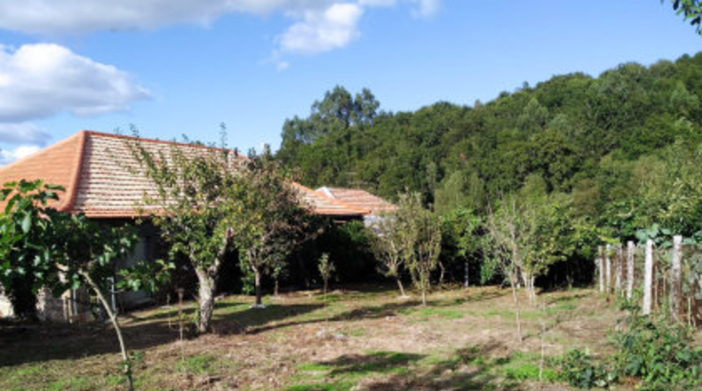 Pontevedra - Penalba - 620m2