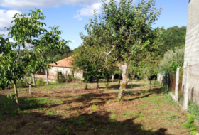 Forcarei 620&nbsp;m² 