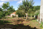 Xalet independent amb terreny en venda a Forcarei ref.: TR18694 foto