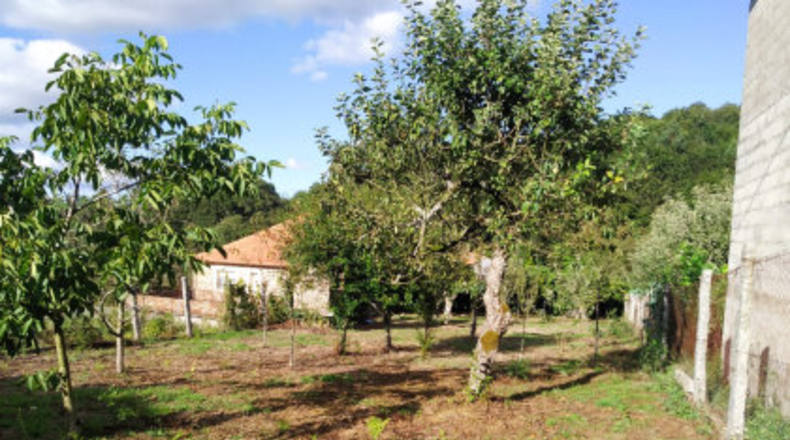 Pontevedra - Penalba - 620m2