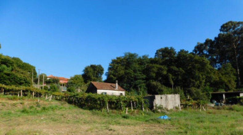 Pontevedra - O Toural - 1000m2