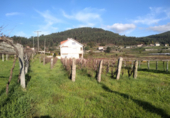Non-developable land for sale in Pontevedra ref: TR21812 photo