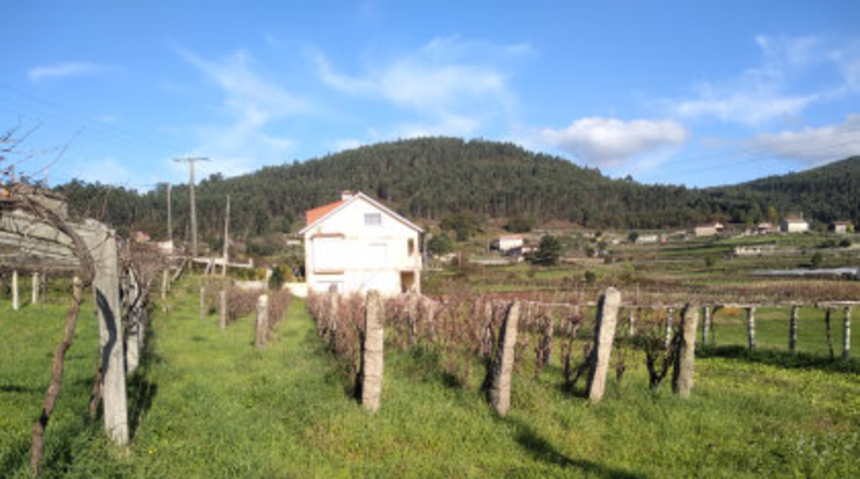 Pontevedra - Vilariño - 1200m2