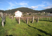 Non-developable land for sale in Pontevedra ref: TR21812 photo