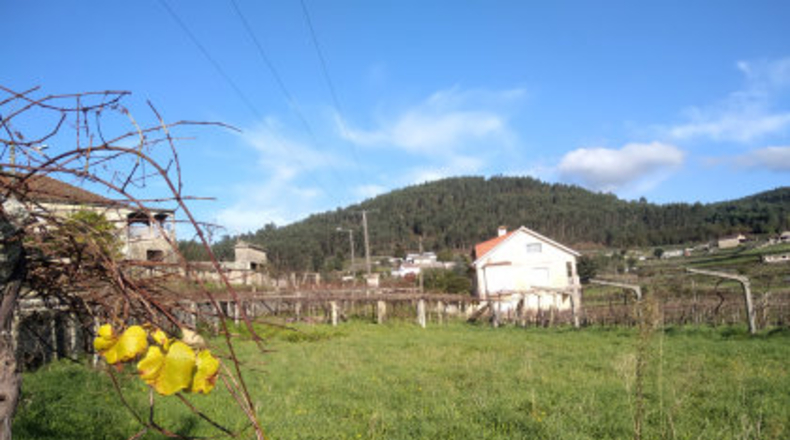 Pontevedra - Vilariño - 1200m2