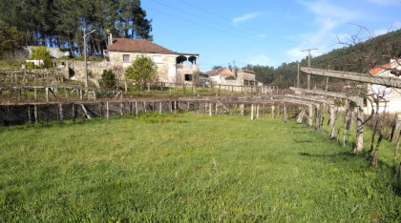 Pontevedra - Vilariño - 1200m2