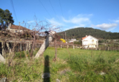 Non-developable land for sale in Pontevedra ref: TR21812 photo