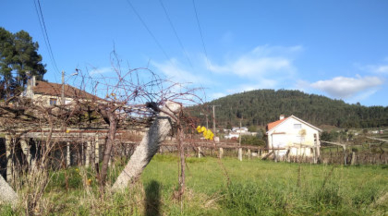 Pontevedra - Vilariño - 1200m2