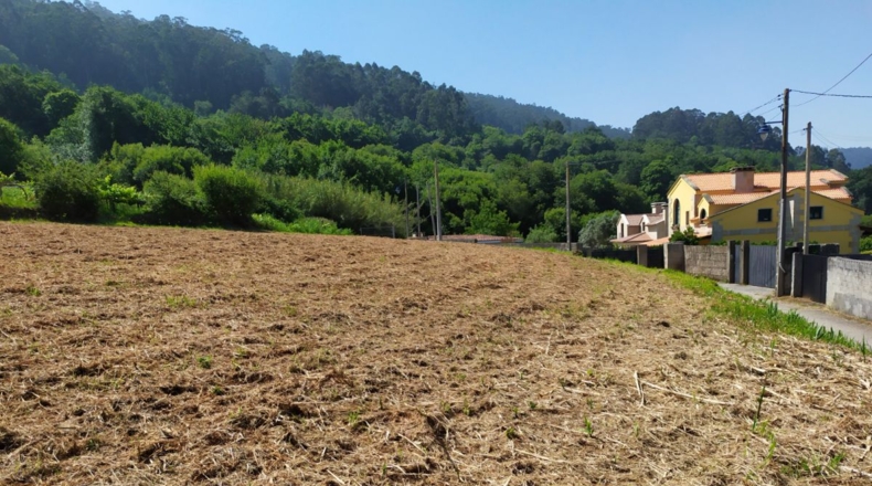 Pontevedra - Marín - 2000m2